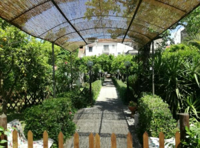 Il Giardino degli Agrumi